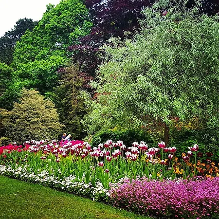 Apartment Il Giardino Harrogate