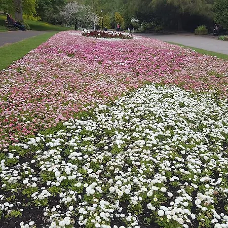 Il Giardino *